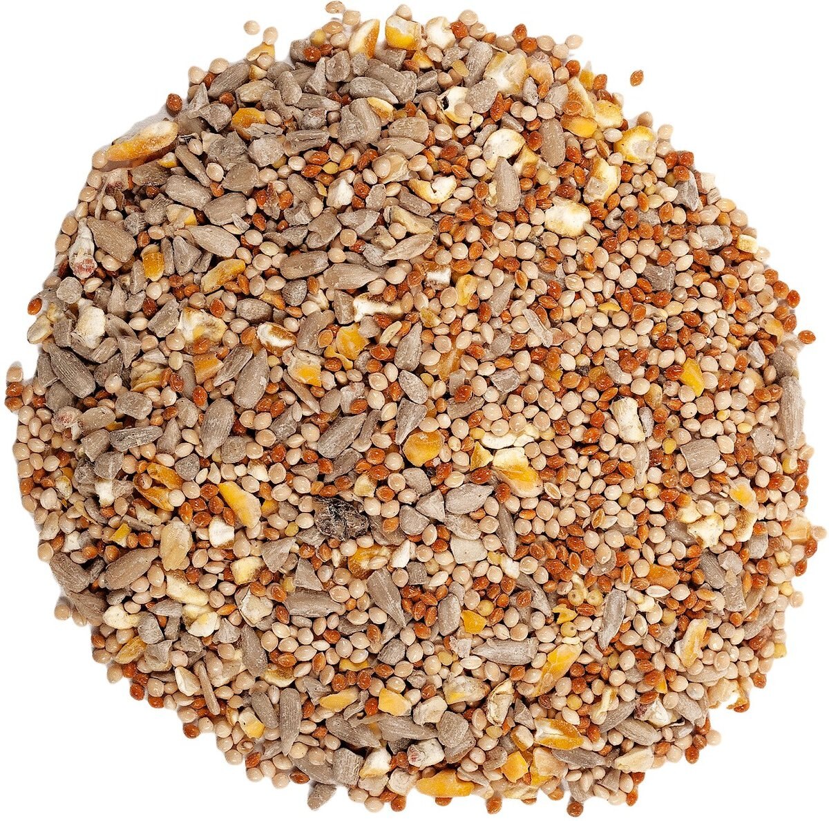 Wagner's Shell Free Premium Wild Bird Food