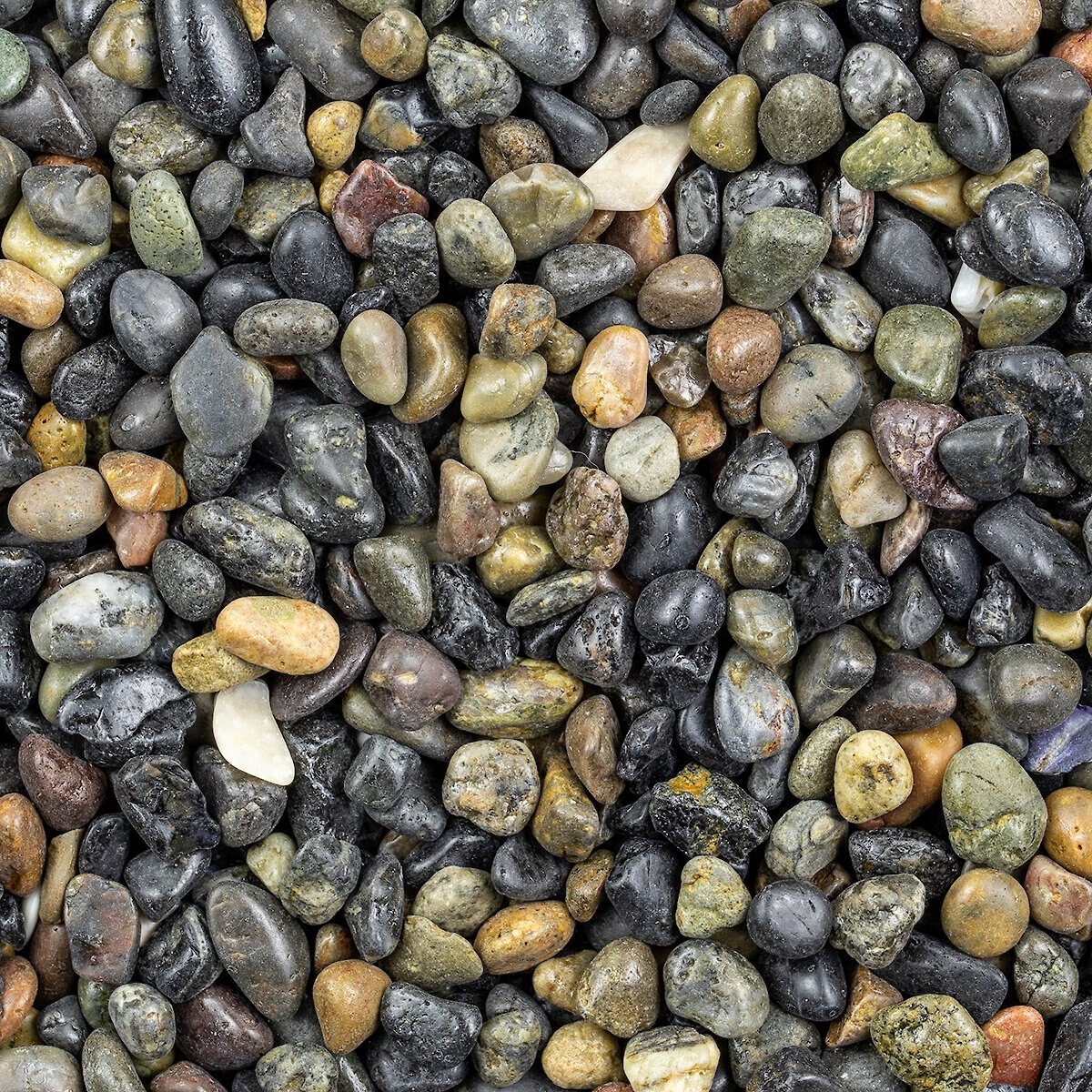 Stoney River Black Beach Pebbles Premium Aquarium Gravel， 5-lb bag