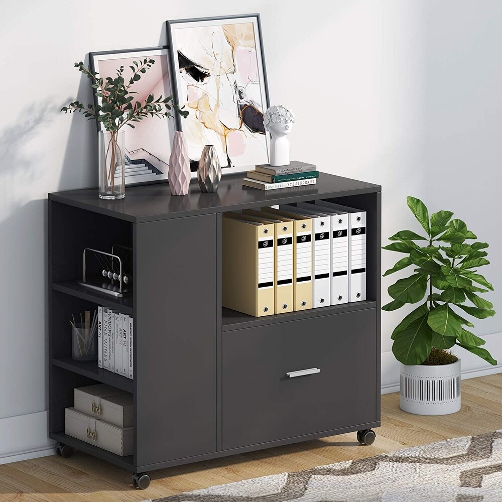 Lateral File Cabinets with 2 Drawers and Storage Shelves  Mobile Printer Stand Filling Cabinet for Home Office  Letter Size