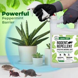 🎉Limited Time Offer🎉Mighty Mint Gallon (128 oz.) Rodent Natural Peppermint Oil Spray RG-128