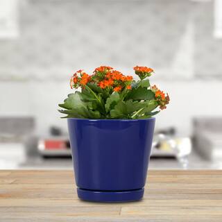 Vigoro 6 in. Piedmont Small Blue Ceramic Planter (6 in. D x 5.7 in. H) with Drainage Hole and Attached Saucer CR01721S-06M2