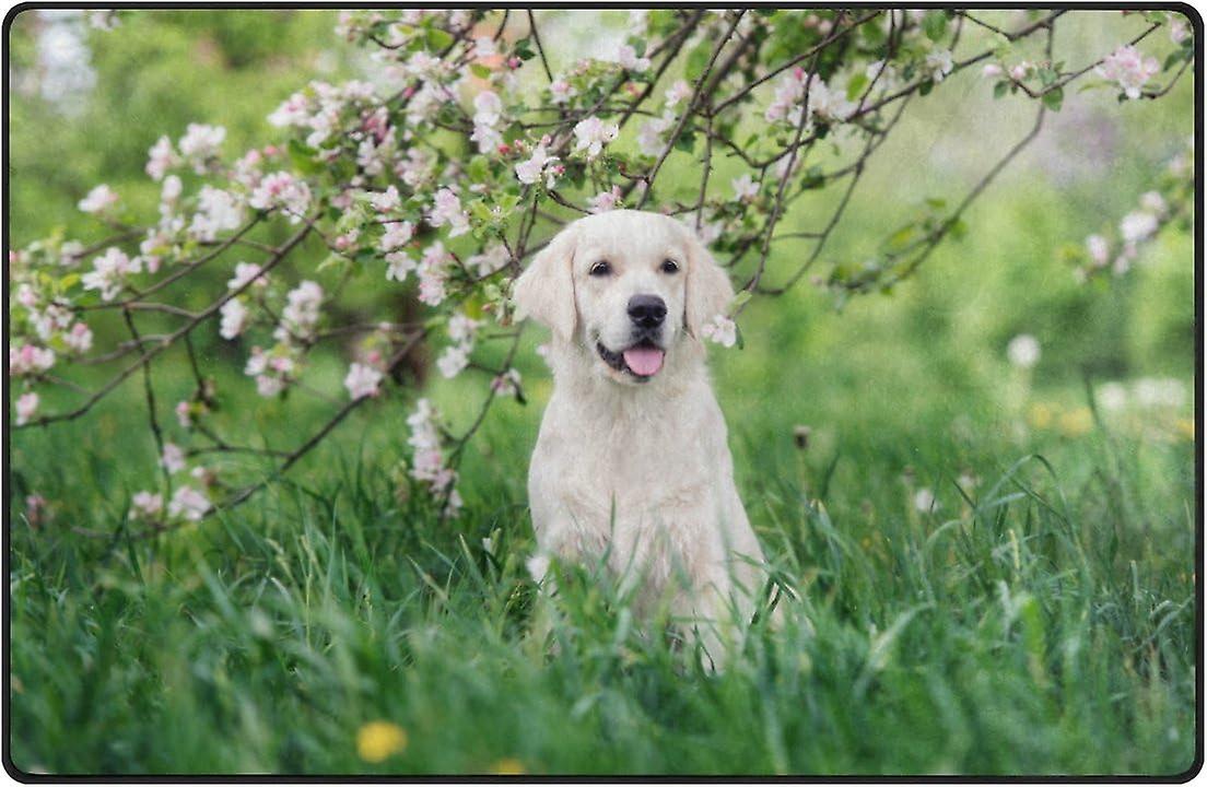 Colourlife Lightweight Carpet Mats Area Soft Rugs Floor Mat Doormat Decoration For Rooms Entrance 31 X 20 Inches Retriever Dog Under Flower Branch