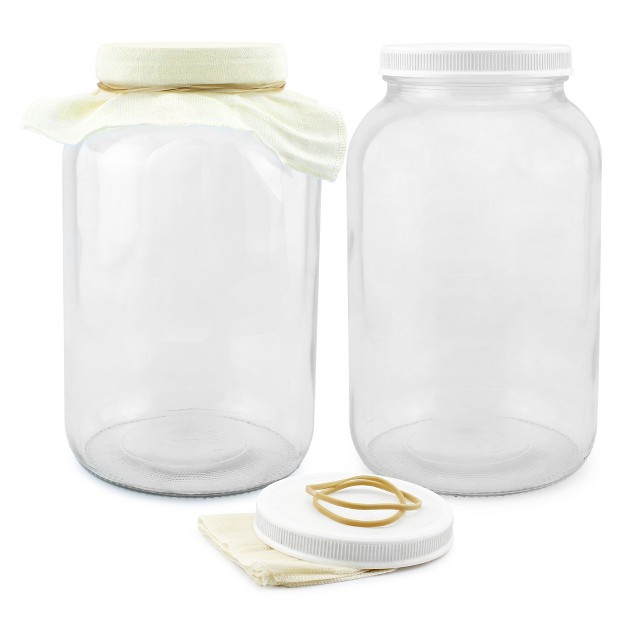 Cornucopia Brands 1 Gallon Glass Kombucha Jar 2pk W Cotton Cloth Cover Lid Accessories