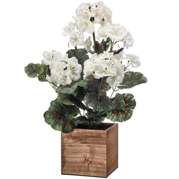 Potted Geranium In Wood Box 16.5