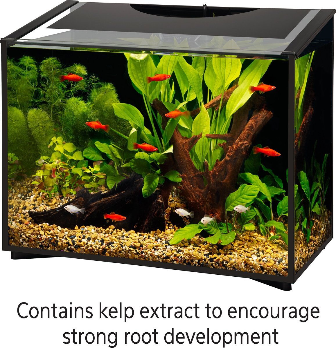 Aqueon Aquarium Freshwater Plant Food