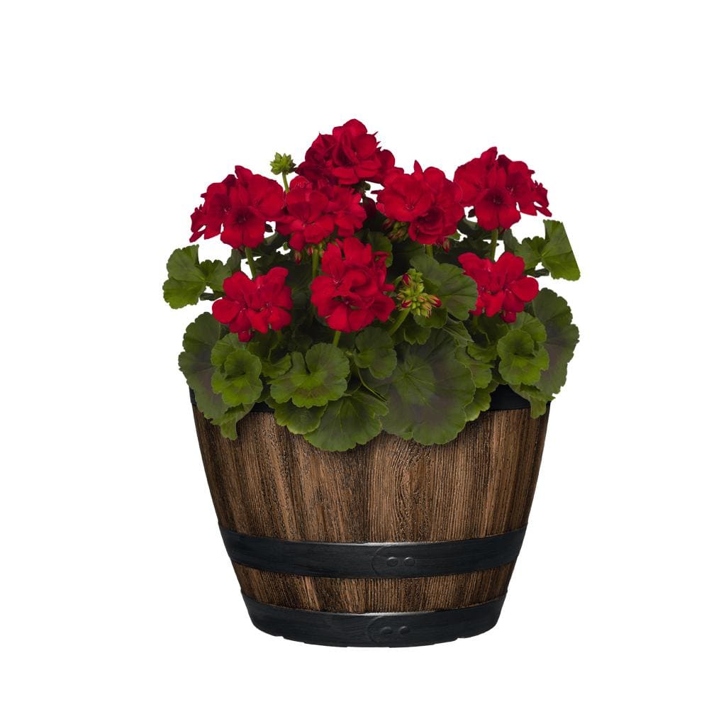 CHG CLASSIC HOME  GARDEN 11.33 in. Dia x 8.51 in. H Kentucky Walnut Plastic Wine Barrel HD1124-037R