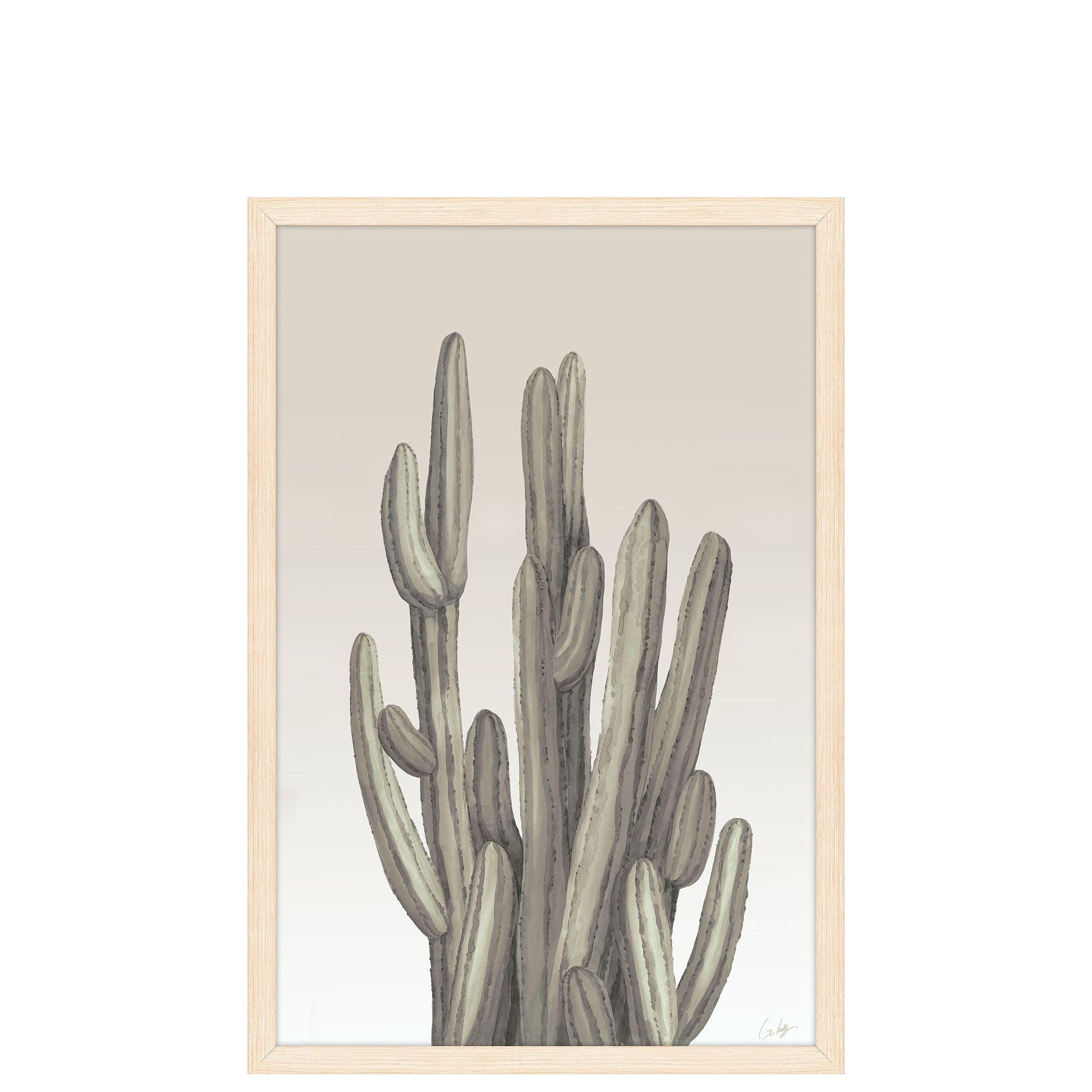 Cacti 1