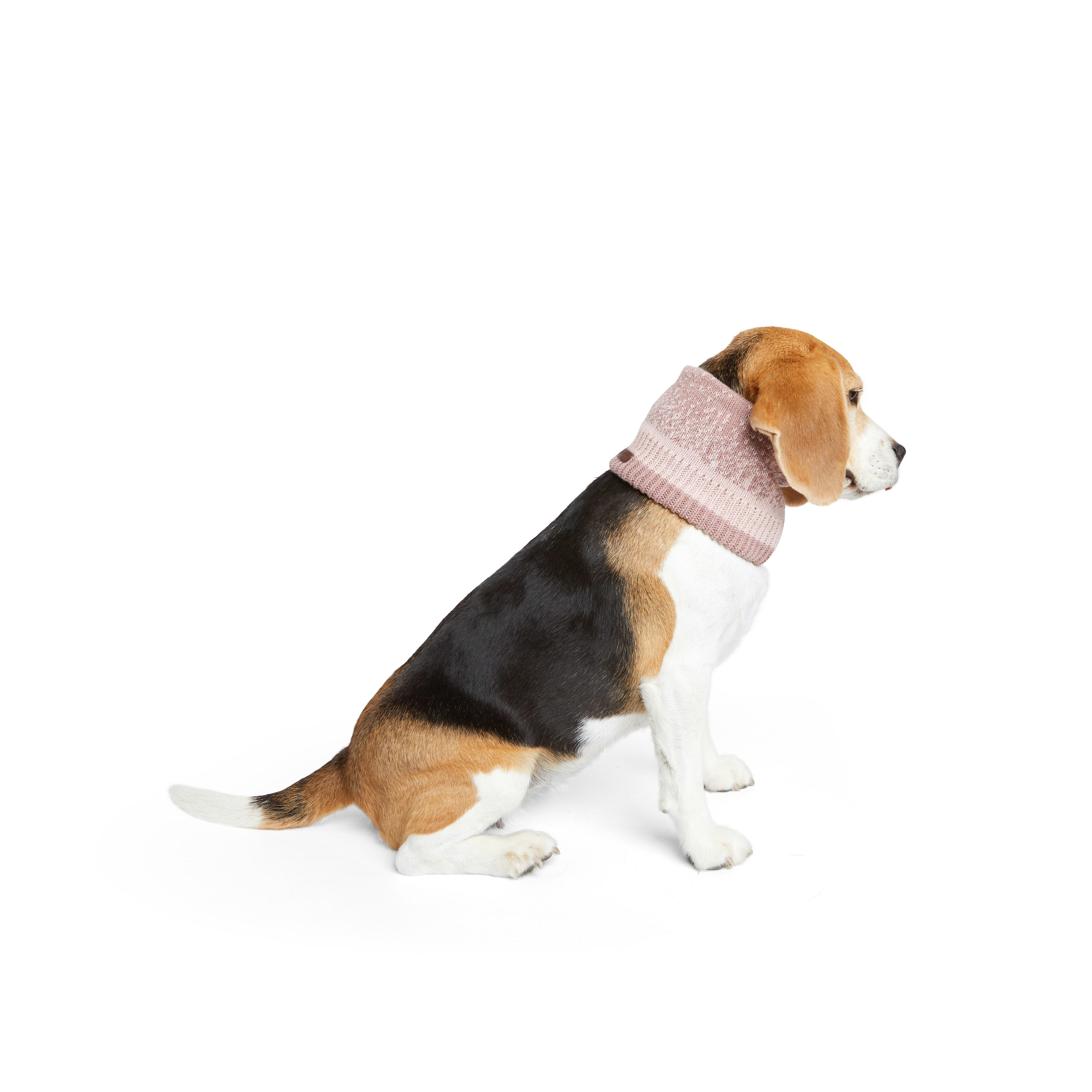 Reddy Pink Scarf for Dogs， X-Small/Small