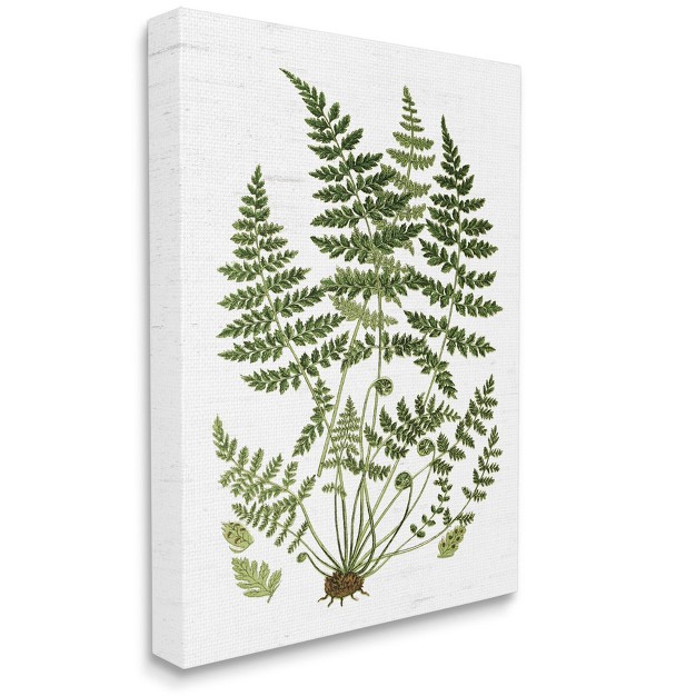 Stupell Industries Forest Botanicals Charming White Willow Greenery Gallery Wrapped Canvas Wall Art 24 X 30