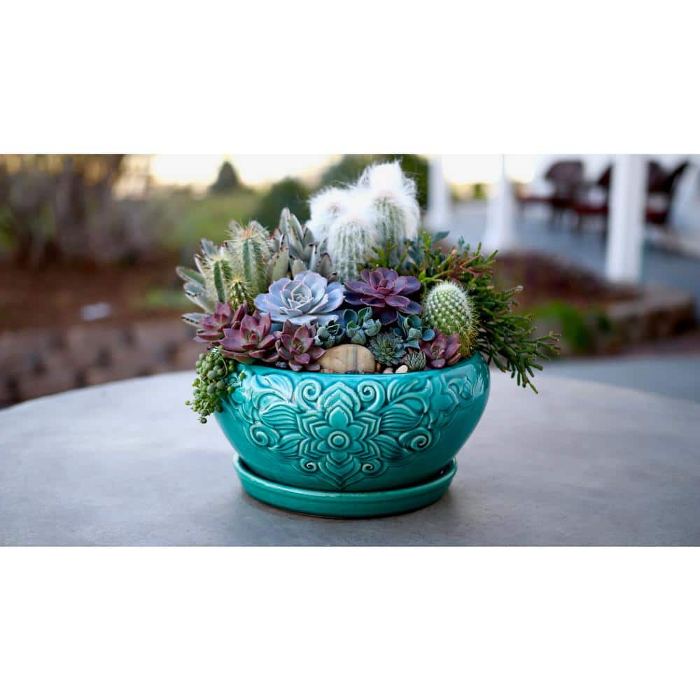 Trendspot 10 in. Teal Florelle Ceramic Bowl Planter CR00466-10C