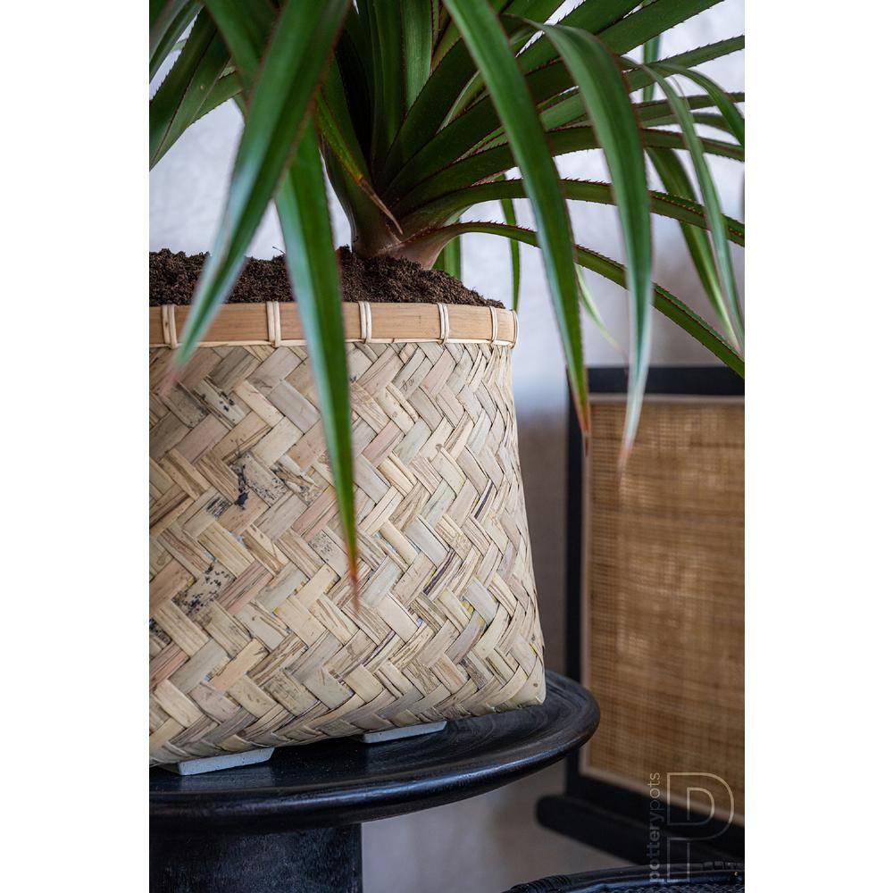 PotteryPots Nala Medium 14.6 in. Bamboo IndoorOutdoor Square Planter T4105-28-BB