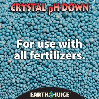 Earth Juice 1.6 lb. Crystal Down pH Adjuster 100538621