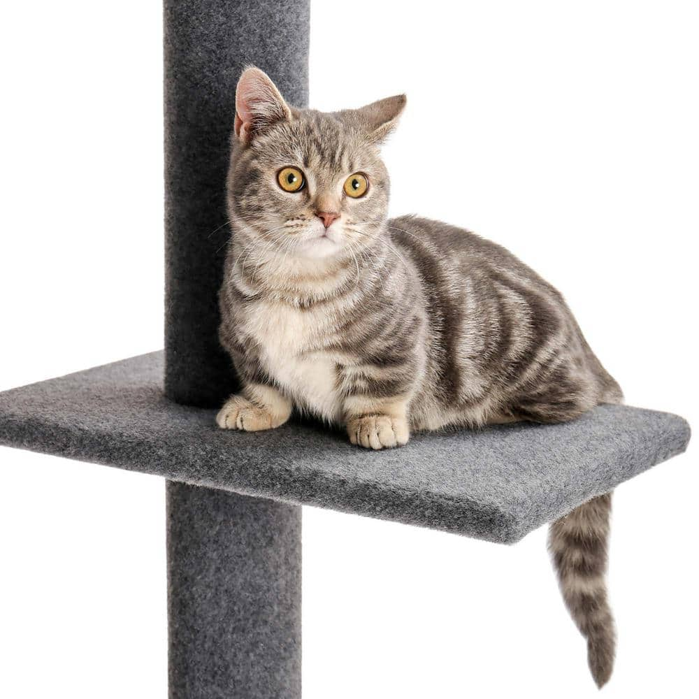 Foobrues Pet Cats Scratching Posts and Trees Crawler Cat Tree PSL-23170291