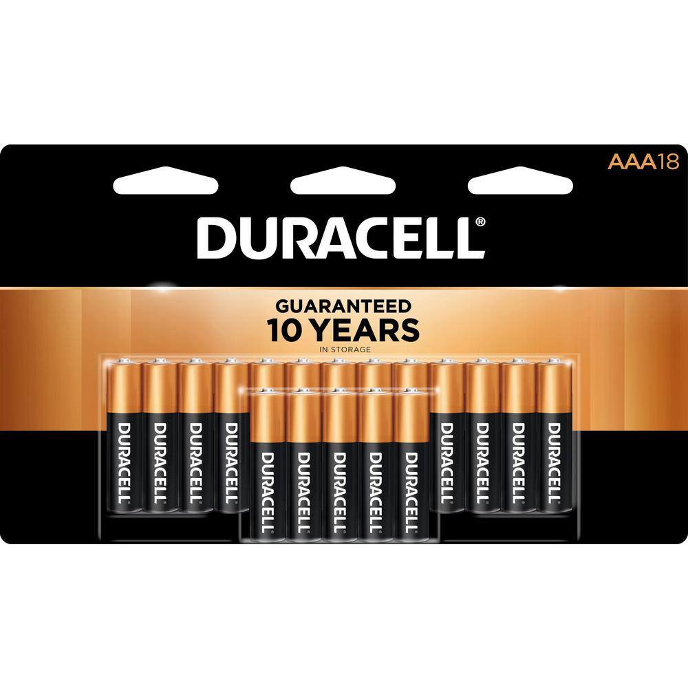 Duracell Coppertop 36-Count AA and 36-Count AAA Alkaline Battery Variety Pack (72 Total Batteries) 004133304286