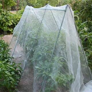 Agfabric 6.5 ft. x 10 ft. White Insect Barrier Netting Garden Netting Protect Plants Against Bugs Birds and Squirrels INP65010W