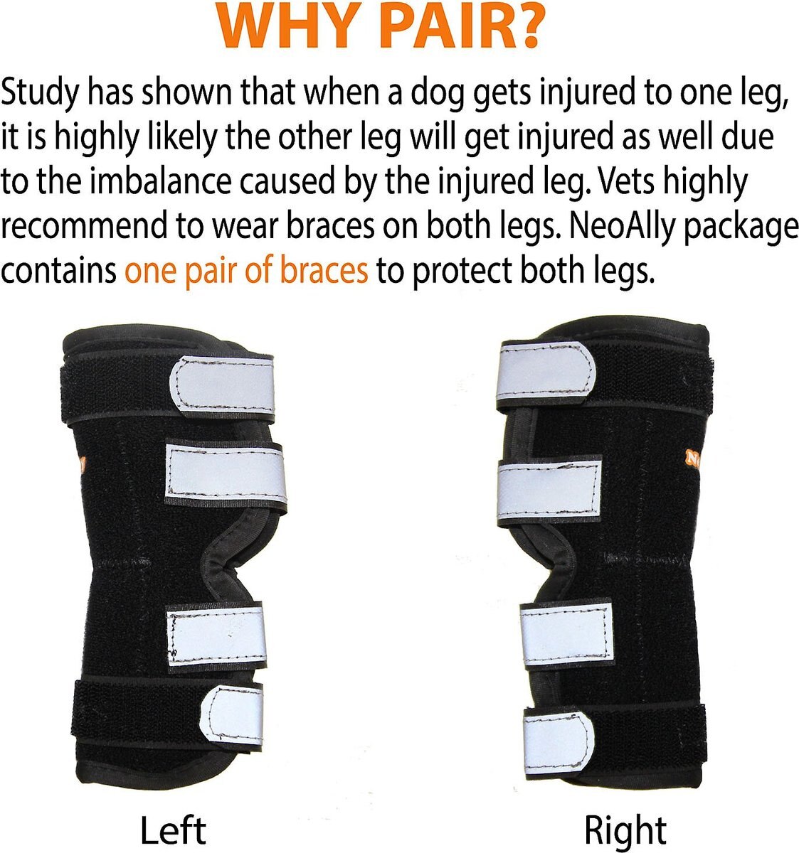 NeoAlly Rear Leg Metal Spring Support Dog Brace， 2 count