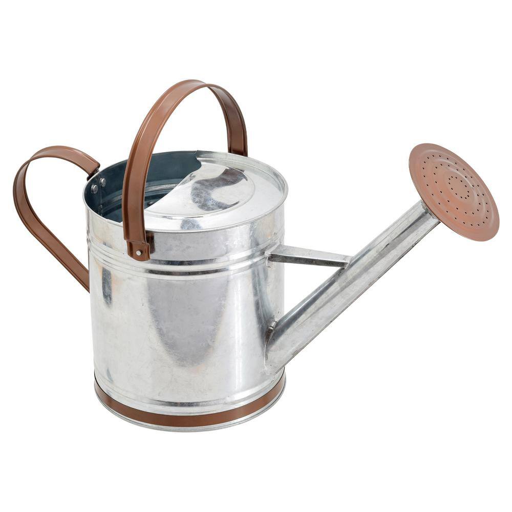 Arcadia Garden Products Classic 1.3 Gal. Chrome Metal Watering Can WC12