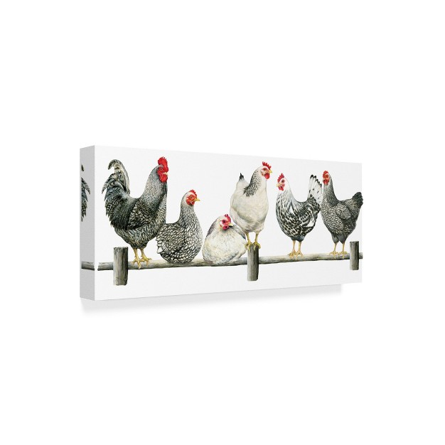 Trademark Fine Art janet Pidoux x27 hens White Background x27 Canvas Art