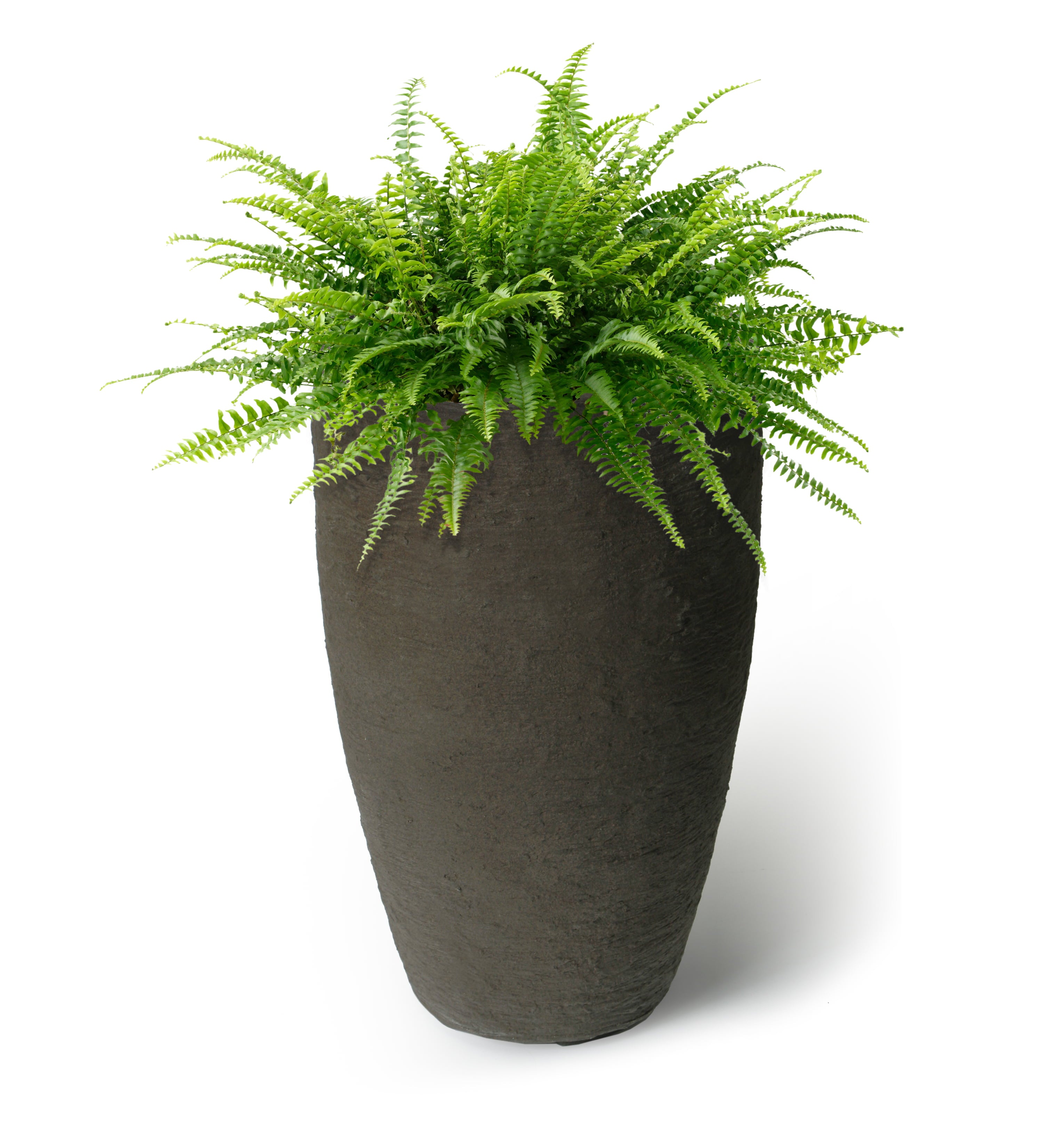 Algreen Products 87311 Athena Self-Watering Flower Pot and Planter, Brownstone