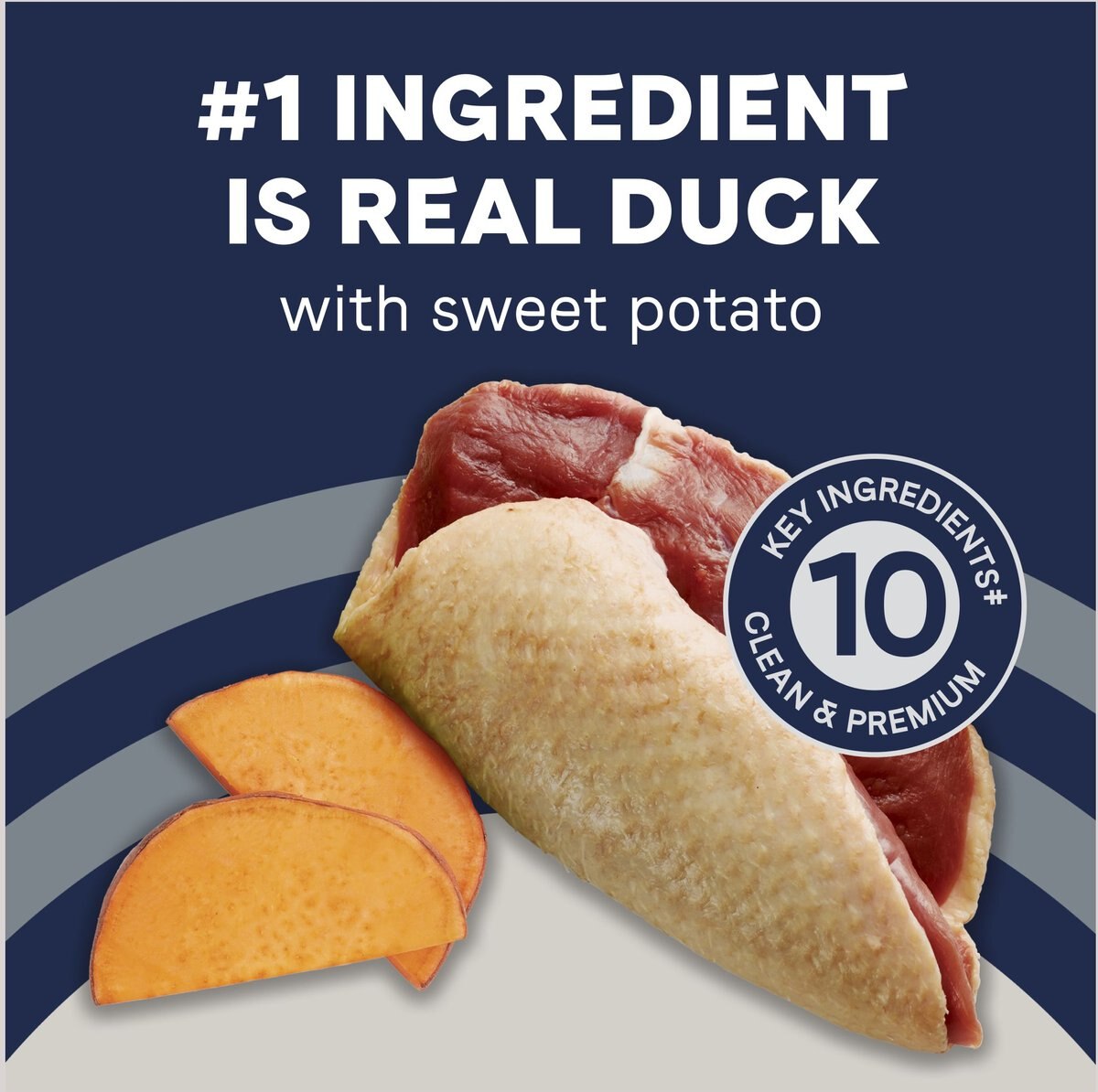 CANIDAE Pure Goodness Real Duck and Sweet Potato Recipe Adult Dry Dog Food