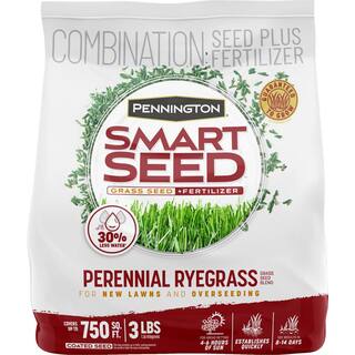 Pennington Smart Seed 3 lbs. Perennial Ryegrass Grass Seed Blend 100543717