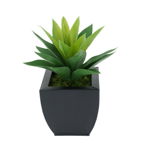 Faux Frosted Light Green Succulent in Tapered Zinc Planter