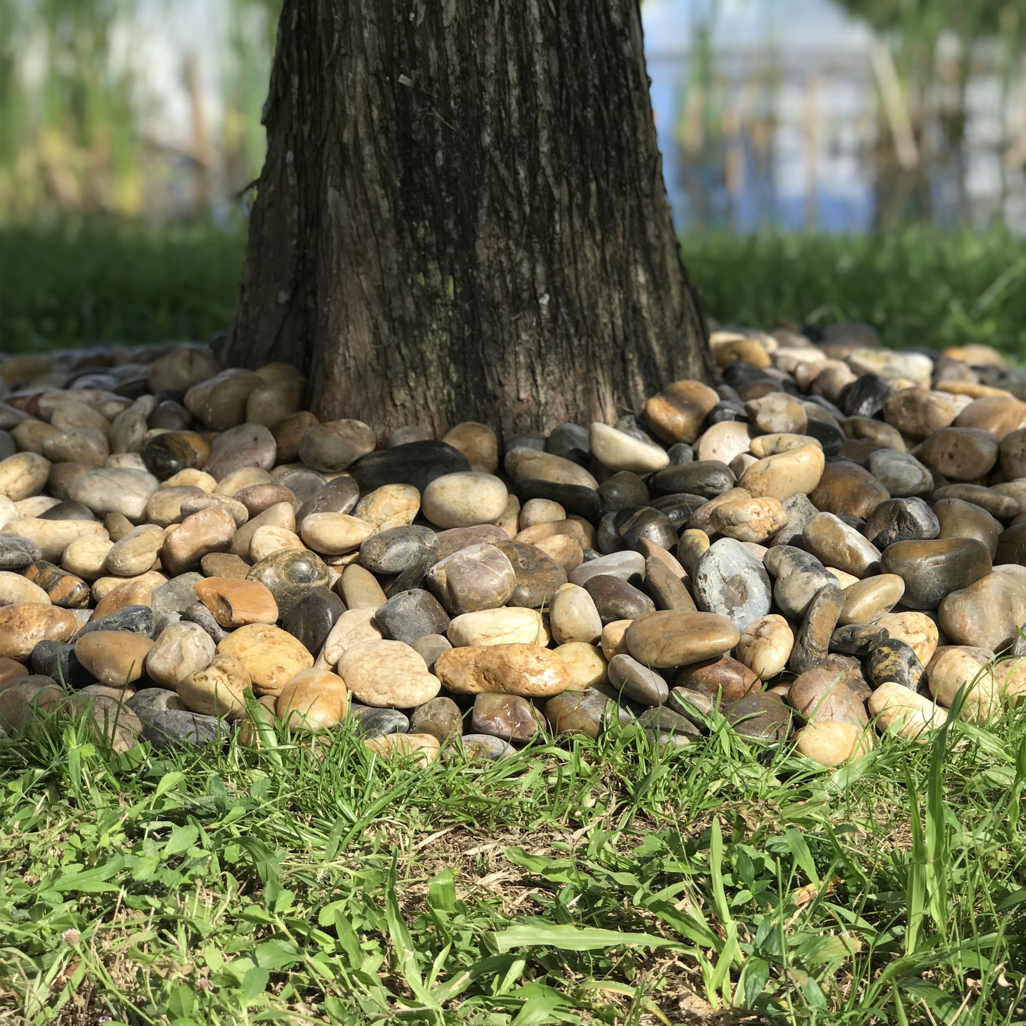 Rainforest, Outdoor Decorative Stone, River Pebbles, Brown, 2-3