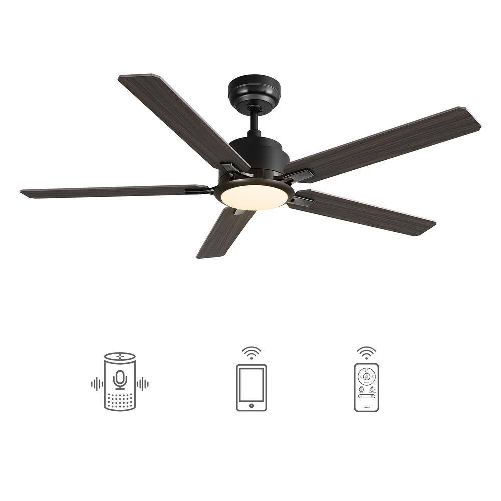 CARRO Essex 52 in. Integrated LED IndoorOutdoor Black Smart Ceiling Fan with Light and Remote Works wAlexaGoogle Home S525J-L12-B5-1