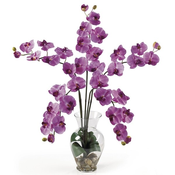 Phalaenopsis Liquid Illusion Silk Flower Arrangement