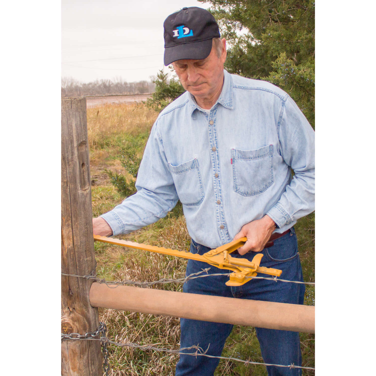 Goldenrod Fence Stretcher Yellow