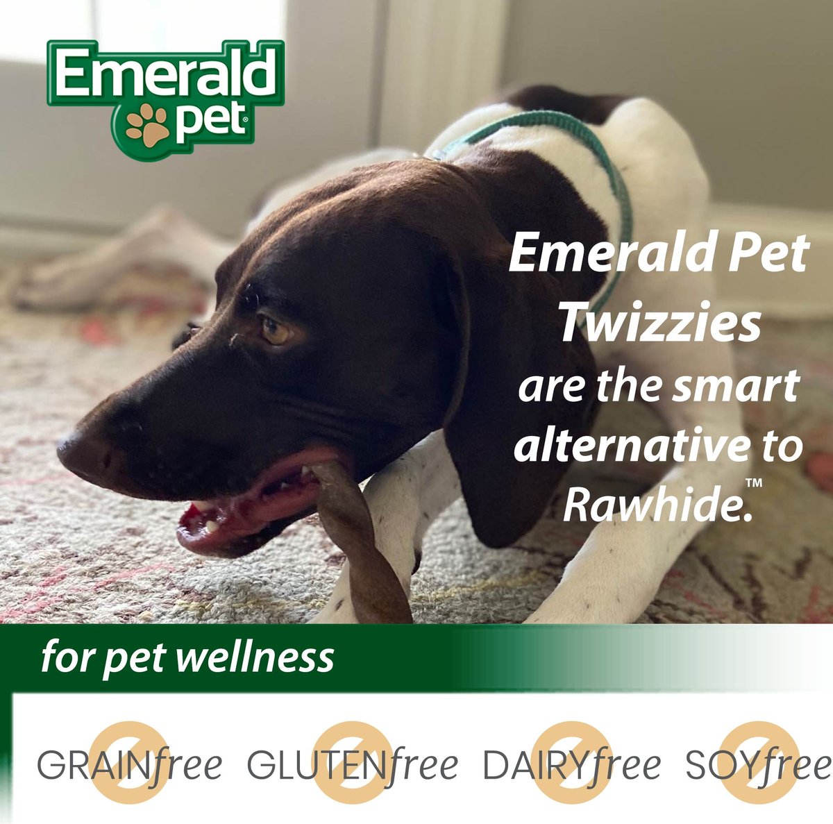 Emerald Pet Piggy Twizzies Grain-Free Dog Treats， 6-in