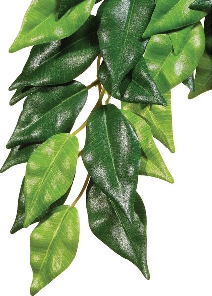 Exo Terra Ficus Silk Plant