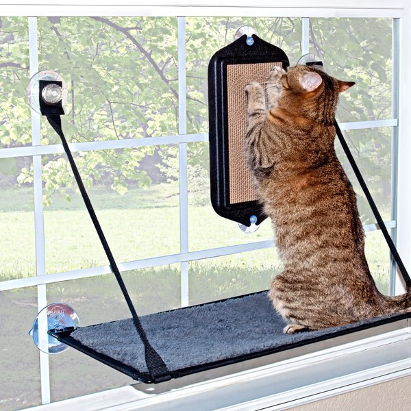 KandH Pet Products EZ Mount Window Cat Scratcher with Catnip