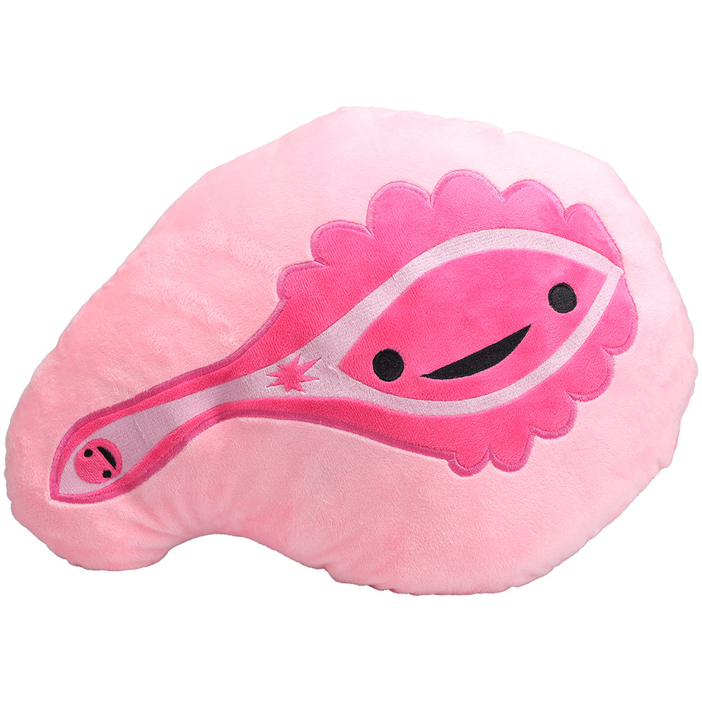 Pussy Pillow Plushie with Storage Pouch