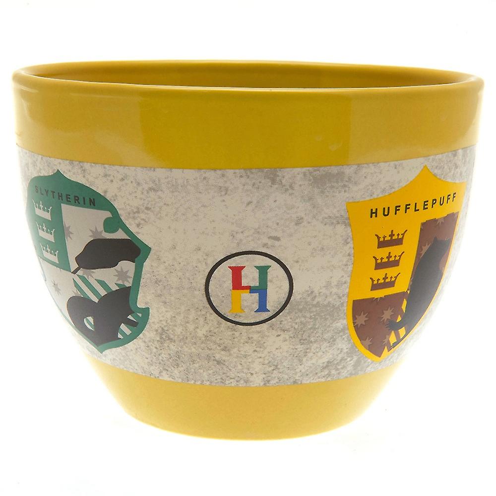 Harry Potter Hogwarts Houses Handleless Mug