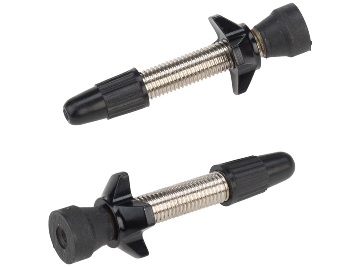 Problem Solvers Big P-Nut Tubeless Valve Kit