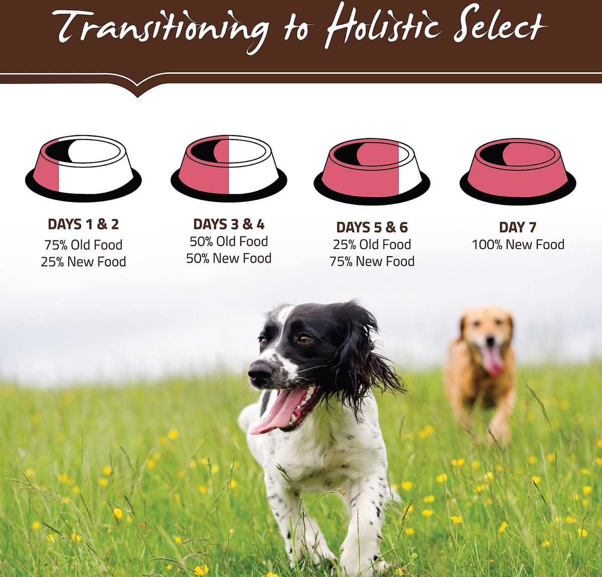 Holistic Select Adult and Puppy Grain-Free Salmon， Anchovy and Sardine Meal Recipe Dry Dog Food