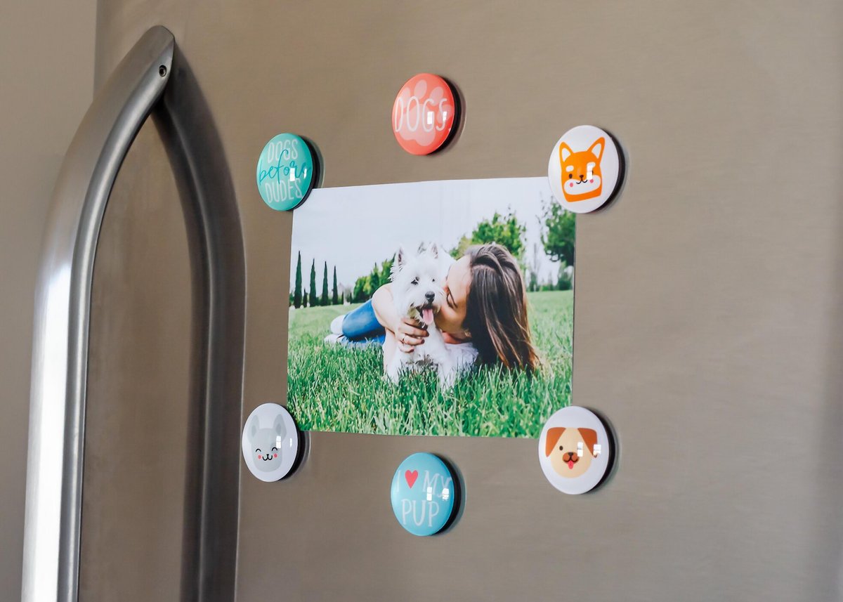 Pearhead Dog Magnets