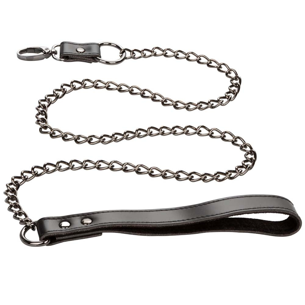 Euphoria Collar With Chain Leash