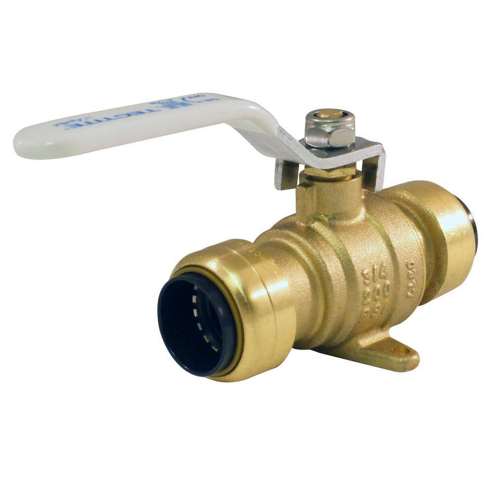 Tectite 34 in. Brass Push Ball Valve with Flange and Drain FSBBV34DE