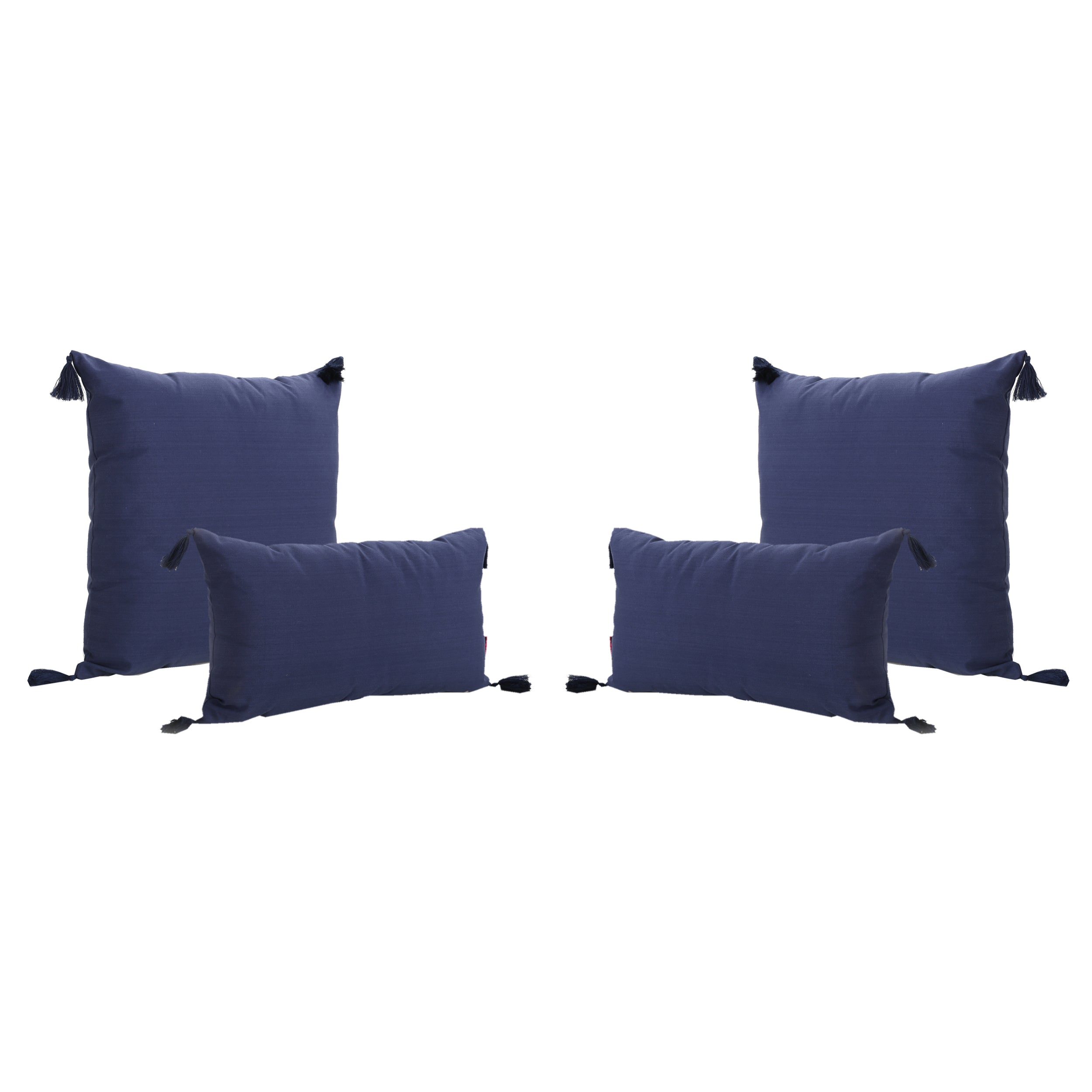 Nolan Fabric Tassel Square and Rectangular Throw Pillow - Set of 4