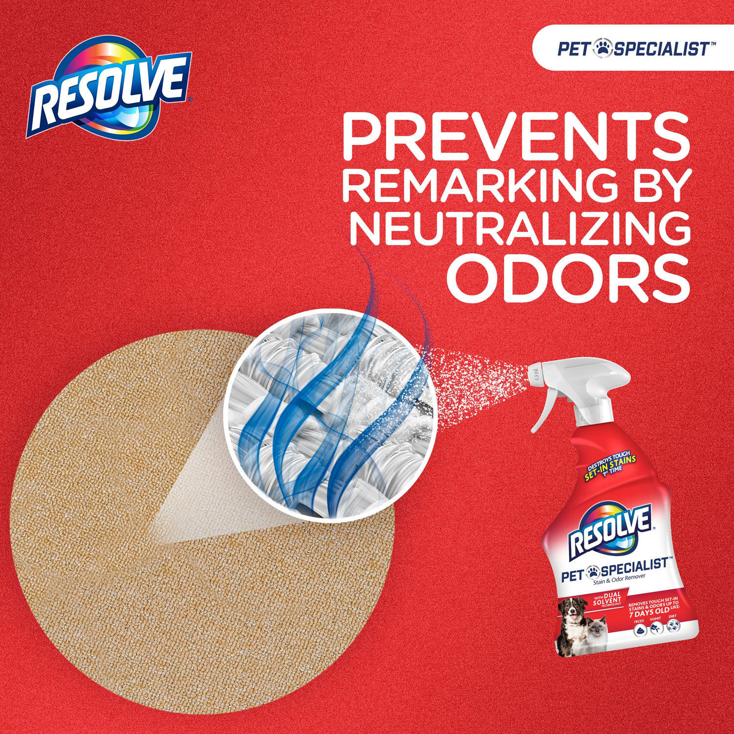 Pet Specialist Stain and Odor Remover by RESOLVEandreg; RAC00353CT