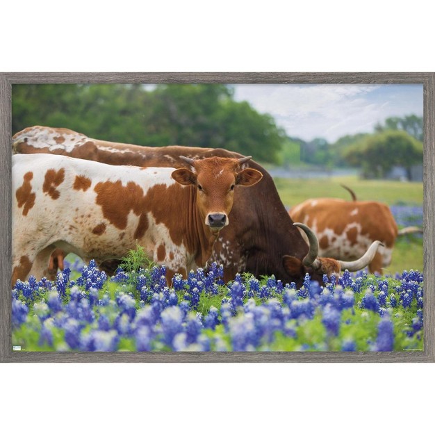 Trends International Texas Longhorns Framed Wall Poster Prints