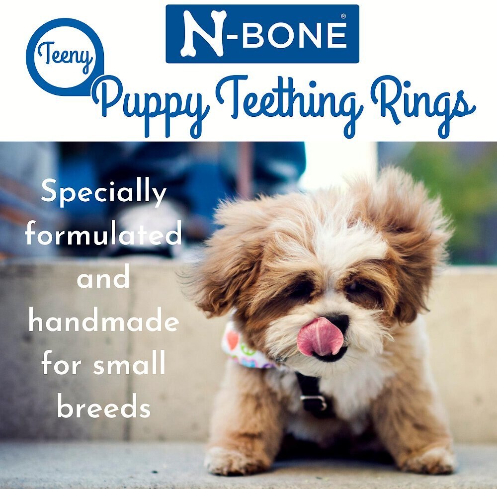 N-Bone Teeny Puppy Teething Rings Chicken Flavor Dog Treats， 7 count