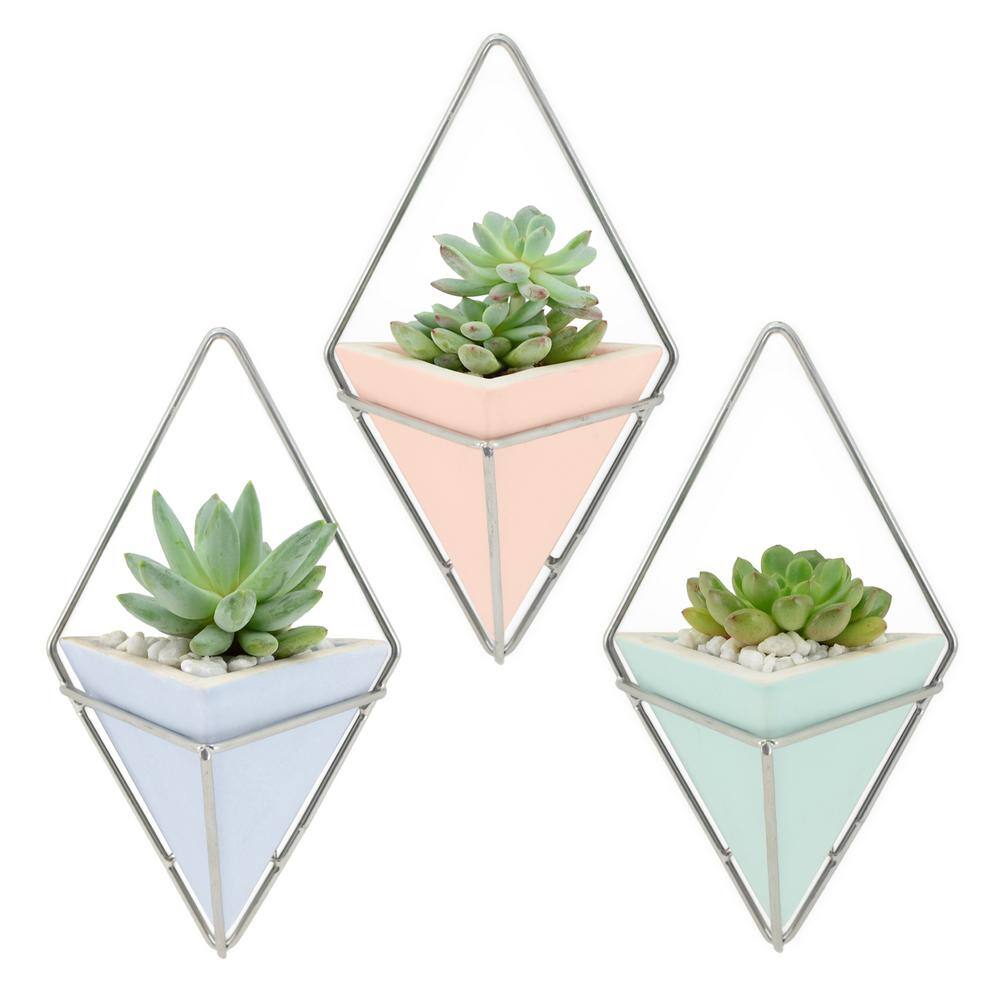 Arcadia Garden Products Diamond 6 in. x 10 in. Mint Matte Ceramic Wall Planter WP36M