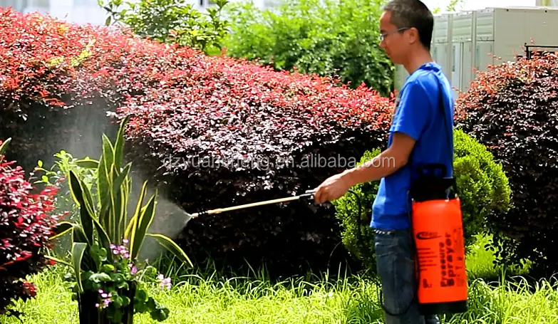 agricultural hand pump sprayer 10L Garden hand pressure water sprayer/cheap price portable garden sprayer sprinkle