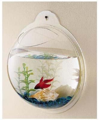 CNZ Wall Mounted Acrylic Fish Bowl， 11.5-inch