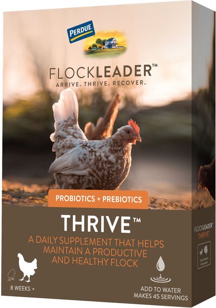 FlockLeader Thrive Poultry Supplement， 8-oz bag