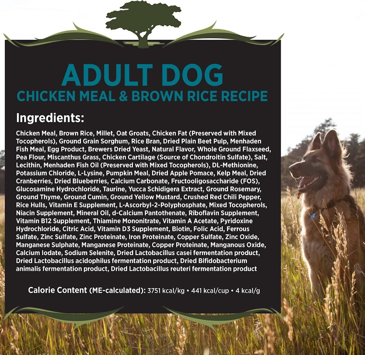 Blackwood Chicken Meal and Rice Recipe Everyday Diet Adult Dry Dog Food