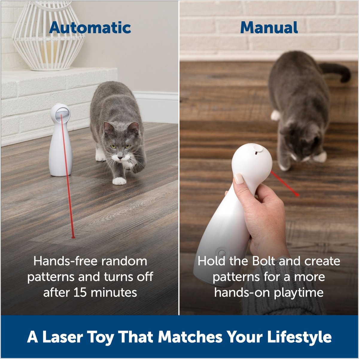 PetSafe Bolt Interactive Laser Cat Toy